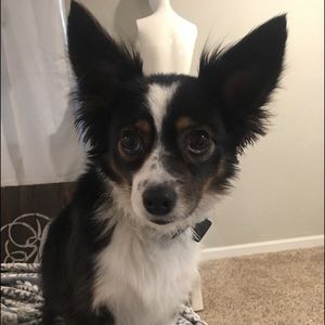 Meet your Posher, Nikki